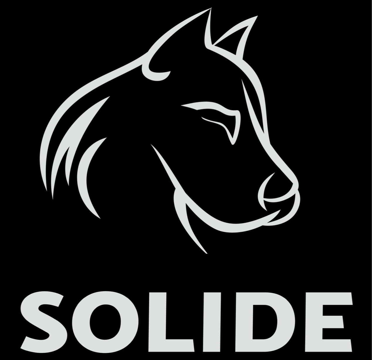 The Solide